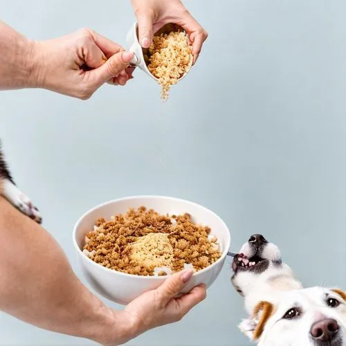 purina,petfoods,for pets,muesli,petcare,krispies,kibble,granola,chihuahuas,kibbles,dog chew toy,oat,cereals,sniffers,breakfast cereal,cereal,rspca,cereal grain,dog puppy while it is eating,pet adoption