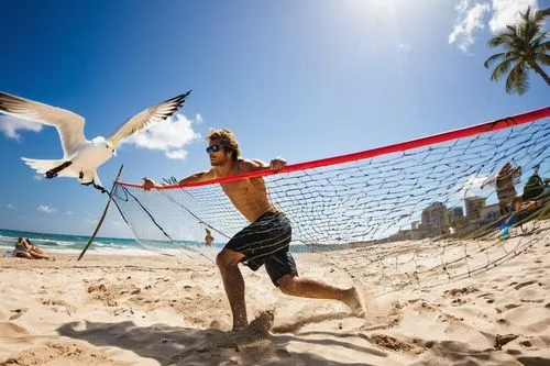 volleyball net,footvolley,sport kite,kite sports,beach volleyball,beach soccer,slacklining,beach sports,beach defence,kite climbing,kite surfing,kitesurfing,kitesurfer,travel insurance,kite boarding,kite boarder wallpaper,kite flyer,beach handball,ball badminton,the beach fixing,Art,Classical Oil Painting,Classical Oil Painting 04