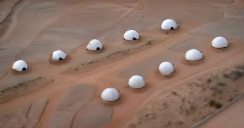 free-range eggs,range eggs,masdar,white eggs,kufra,hatchings,eggs,goose eggs,lay eggs,bird eggs,wadirum,broken eggs,hatchlings,fresh eggs,dubai desert,nest easter,moon valley,liwa,namib,the painted eg