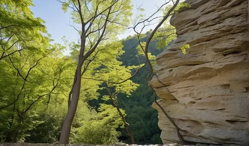 In this unique and colorful photograph, a captivating and energetic image captures the essence of a towering stone structure in the shape of a pillar. The frame is an intricate design that captures th