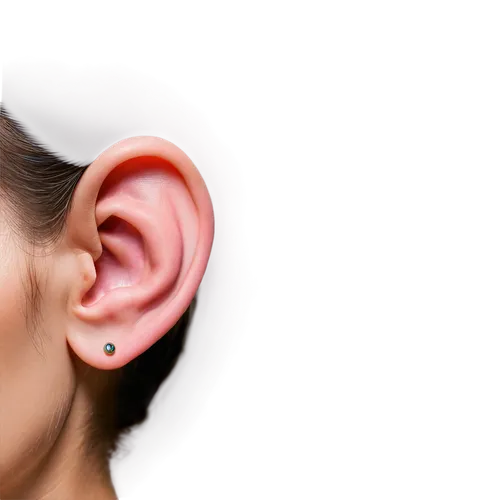 auricle,ear cancers,ear,ear-drum,hearing,ear tags,earplug,ear sticks,earring,ears,ears of cows,body piercing,earrings,earpieces,audio accessory,tinnitus,grain ears,earbuds,princess' earring,reflex eye and ear,Unique,3D,Modern Sculpture