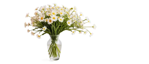 flowers png,garden star of bethlehem,jonquils,star of bethlehem,madonna lily,lily of the valley,ornithogalum,easter lilies,muguet,artificial flower,imbolc,freesias,lutea,lily of the field,flower vase,freesia,ornithogalum umbellatum,flower illustrative,lilium candidum,artificial flowers,Illustration,Abstract Fantasy,Abstract Fantasy 08