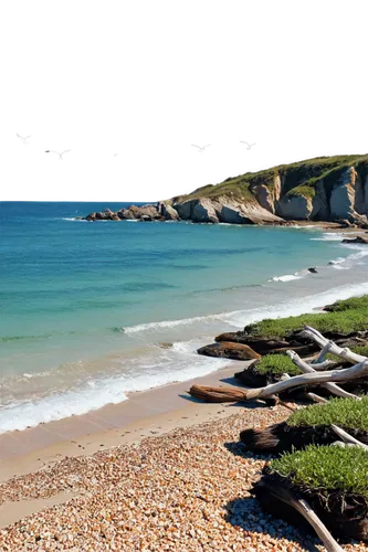 quiberon,beach landscape,swanage bay,carbis bay,sceleton coast,normandy,perranporth,cornwall,arniston,normandie,bretagne,cantabria,dorset,biarritz,woolacombe,plage,coastal landscape,pentire,llanes,belcove,Photography,Fashion Photography,Fashion Photography 25