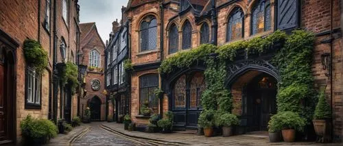 medieval street,pancras,cobbled,the cobbled streets,lichfield,alleyn,alleyways,ruelle,alleyway,narrowness,bootham,potteries,narrow street,alley,ploddingly,eastgate street chester,folgate,terbrugge,old linden alley,buttresses,Illustration,Realistic Fantasy,Realistic Fantasy 36