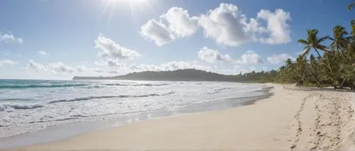 caribbean beach,white sandy beach,white sand beach,sun,ocean,palms,Photography,General,Natural