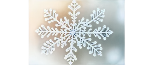 snowflake background,christmas snowflake banner,gold foil snowflake,christmas snowy background,blue snowflake,icewine,christmas tree pattern,snowflake,christmas motif,snow flake,white snowflake,winter background,frosted glass,ice crystal,glass ornament,frosted glass pane,snowflakes,dendrite,christmasbackground,wreath vector,Conceptual Art,Daily,Daily 31