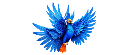 uniphoenix,garrison,plumes,pheonix,pentecostalist,pentecost,plume,phoenix rooster,phoenixes,blue peacock,seraphim,garrisoned,twitter bird,dove of peace,angel wing,plumage,bluefire,feathering,phenix,blue parrot,Conceptual Art,Daily,Daily 14