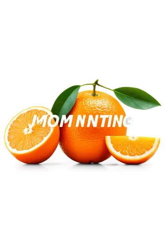 moistening,mandarins,diamond mandarin,nonjuring,mandarin oranges,mottling,moimoi,garrisoning,orang,minneola,modifiying,mounting,unmanning,mandarin orange,monino,a mounting member,mandarina,northing,oorang,memminger,Illustration,Vector,Vector 21