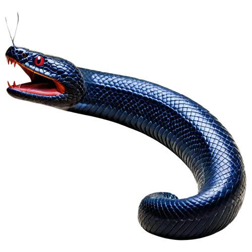 black snake, solo, curved body, scaly texture, sharp eyes, forked tongue, shiny black skin, coiled posture, close-up shot, 3/4 composition, dramatic lighting, high contrast, dark background.,blue snak