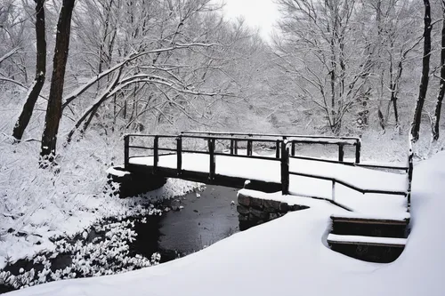 snow bridge,snowy landscape,snow landscape,winter landscape,wooden bridge,winter wonderland,wintry,snow scene,the snow falls,winter forest,walkway,covered bridge,winter dream,in winter,snow trail,winter background,in the winter,fragrant snow sea,scenic bridge,winter magic,Illustration,Retro,Retro 07