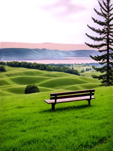 Peaceful scenery, serene atmosphere, cloudy sky, soft white clouds, gentle mist, rolling hills, green grass, few trees, simple wooden bench, afternoon sunlight, warm color tone, shallow depth of field