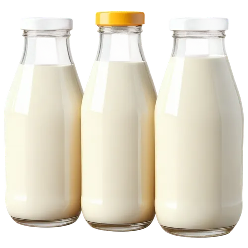 pasteurization,pasteurize,pasteurised,soymilk,milk utilization,milk bottle,dairy products,milkmaids,milk container,milk product,milk,milk jug,pasteurizing,milk pitcher,milk testimony,milkis,pasteurized,milks,unpasteurised,melk,Illustration,Paper based,Paper Based 15