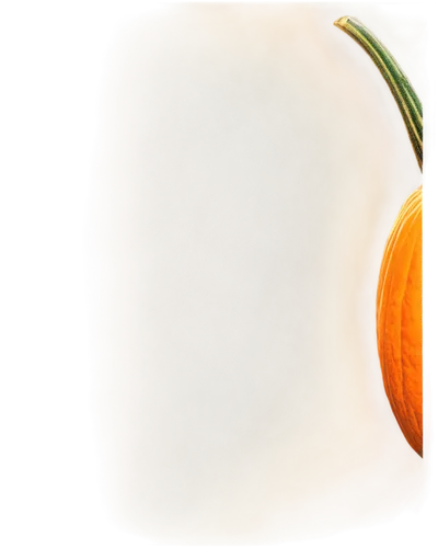 white pumpkin,winter squash,calabaza,figleaf gourd,thanksgiving background,gourds,gourd,butternut squash,scarlet gourd,acorn squash,ornamental gourds,gem squash,thanksgiving border,pointed gourd,butternut,muskmelon,bitter gourd,cucurbita,apricot kernel,persimmon,Conceptual Art,Sci-Fi,Sci-Fi 05