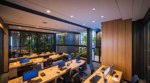 modern office,conference room,lecture room,study room,daylighting,meeting room,board room,serviced office,offices,forest workplace,window film,business centre,creative office,corten steel,conference r