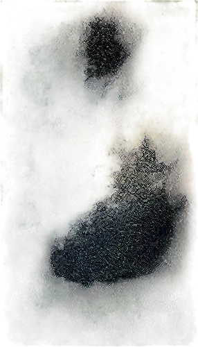 mudflat,water surface,spermatophores,venus surface,tadpoles,mudflats,biofilm,moon surface,azolla,water scape,tholus,runoff,intertidal,chromatophores,footprint,underwater landscape,floodplains,waterbodies,reflection of the surface of the water,seafloor,Photography,Black and white photography,Black and White Photography 14