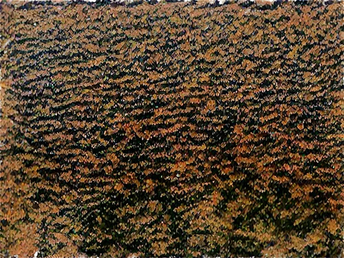 road surface,rusty door,corten steel,beech hedge,bronze wall,brown mold,anthill,pavement,pomace,lichens,granite texture,shagreen,solidified lava,rustication,roof tile,ant hill,carpet,rusty cars,paving stone,wall texture,Conceptual Art,Daily,Daily 25