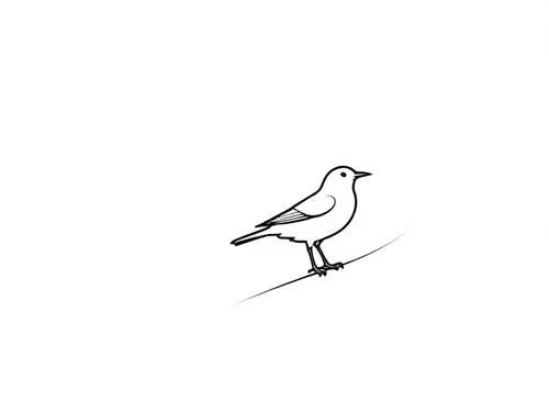 a single bird sitting on top of a snow covered ground,bird drawing,line art birds,bird outline,luginbill,bird illustration,bird png,Design Sketch,Design Sketch,Rough Outline