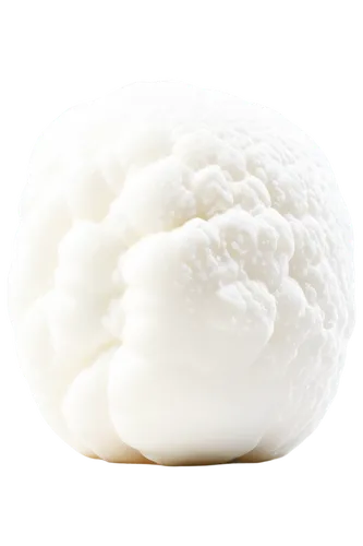 meringue,cloud mushroom,egg white snow,sheep milk cheese,burrata,fragrant snowball,sheep cheese,mozzarella,white cabbage,cauliflower,edible mushroom,ricotta,ugali,mozarella,burmilla,sheep milk soap,lingzhi mushroom,soft cheese,egg white,hericium,Photography,Fashion Photography,Fashion Photography 23