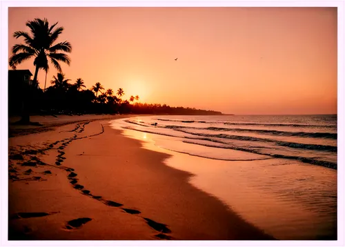 Seaside landscape, sunset, warm orange sky, palm trees, gentle waves, sandy beach, footprints leading to the sea, seagulls flying overhead, soft warm lighting, 3/4 composition, shallow depth of field,