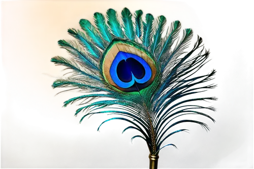 peacock feather,peacock eye,blue peacock,peacock feathers,peacock,fairy peacock,male peacock,peacock butterfly,saturniidae,feather,feather headdress,bird feather,feather jewelry,paraiba,color feathers,blue parrot,peacocks carnation,indian peafowl,sceptre,plumes,Conceptual Art,Fantasy,Fantasy 34