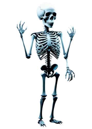 skelemani,skeletal,skeleltt,vintage skeleton,calcium,skelly,skeleton,skelid,human skeleton,spookily,doot,osteoporotic,mermaid skeleton,spook,skeletons,boneparth,spooking,osteoporosis,halloween vector character,spookiest,Illustration,Vector,Vector 09