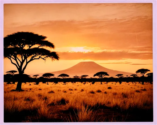 tsavo,serengeti,mount kilimanjaro,amboseli,kilimanjaro,east africa,africa,laikipia,virunga,rwanda,savane,afrique,afrika,samburu,taveta,africano,savannas,omondi,arusha,karamoja,Photography,Documentary Photography,Documentary Photography 03