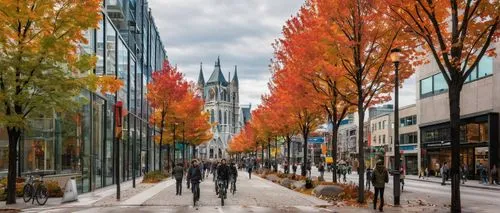 montreal,maisonneuve,montrealer,quebec,outaouais,canadienne,outremont,yorkville,ottawa,montrealers,gatineau,guelph,sherbrooke,late autumn,yonge,canadien,centretown,rideau,autumn scenery,fall foliage,Illustration,Japanese style,Japanese Style 05