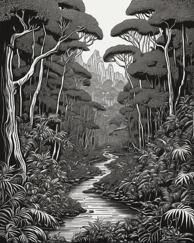 cartoon forest,rainforest,swampy landscape,rain forest,jungle,tree ferns,the forests,tree grove,forests,mushroom landscape,the forest,forest glade,hand-drawn illustration,tropical jungle,forest path,mangroves,forest landscape,brook landscape,book illustration,forest,Illustration,Black and White,Black and White 21