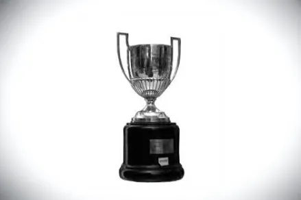 trophy,the cup,april cup,award,triumph street cup,kingcup,goblet drum,award background,dice cup,office cup,chalice,trophies,goblet,the hand with the cup,cup,connectcompetition,water cup,honor award,funeral urns,gold chalice