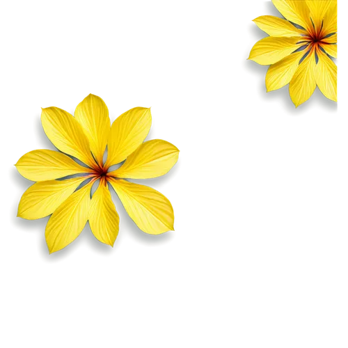 flowers png,minimalist flowers,wood daisy background,flower background,sunflower lace background,paper flower background,yellow rose background,chrysanthemum background,flowers pattern,yellow flowers,yellow petals,floral mockup,flower illustrative,flower illustration,twin flowers,floral digital background,double flower,illustration of the flowers,flower design,cartoon flowers,Illustration,Retro,Retro 01