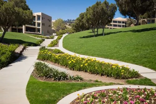 Cal Poly Slo landscape architecture, sunny day, clear blue sky, rolling hills, lush green grass, scattered trees, modern buildings, clean lines, minimalist design, stone pavement, staircases, outdoor 