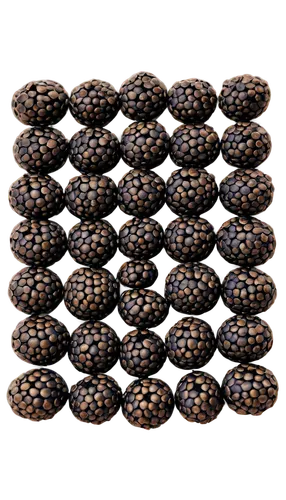 Zinnia seeds, macro shot, solo, white background, detailed texture, brownish-black color, tiny size, rounded shape, scattered arrangement, soft focus, natural light, 1/2 composition, warm tone, shallo