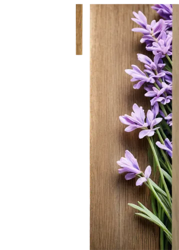 wood daisy background,wood and flowers,wooden background,bookmark with flowers,wood background,flower border frame,flower background,wooden door,vintage lavender background,wisteria shelf,flowers frame,flower frame,wooden wall,floral and bird frame,wooden mockup,spring background,flower wallpaper,floral digital background,tulip background,wall,Illustration,Realistic Fantasy,Realistic Fantasy 04