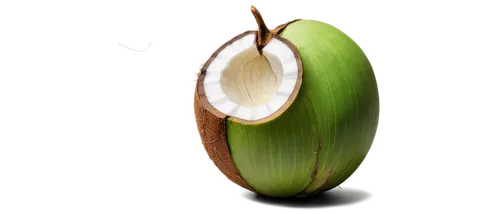 kelapa,organic coconut,king coconut,coconut,cocos nucifera,the green coconut,areca nut,coconut leaf,yucca,schisandraceae,coconut shell,coconut water,coconut perfume,hardneck garlic,banana flower,coconut palm,coconut fruit,rabihorcado,avacado,figleaf gourd,Illustration,American Style,American Style 10