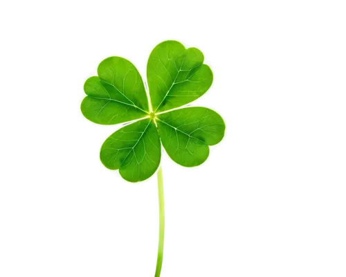 4-leaf clover,five-leaf clover,shamrock,lucky clover,four-leaf clover,three leaf clover,four leaf clover,pot of gold background,4 leaf clover,a four leaf clover,patrol,clovers,medium clover,clover leaves,st patrick's day icons,shamrocks,shamrock balloon,maidenhair,long ahriger clover,happy st patrick's day,Illustration,Vector,Vector 19