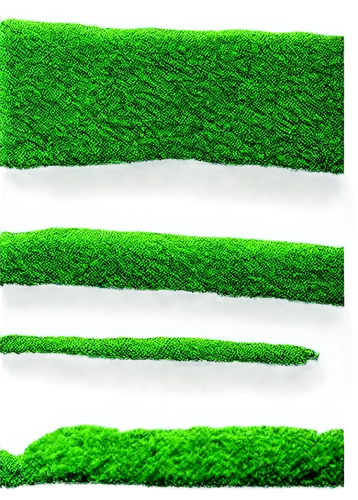 microalgae,azolla,block of grass,chlorophyll,chloropaschia,green border,chlorophyta,chlorophylls,zostera,spirulina,xylem,bilayer,green wallpaper,stomata,cyanobacteria,artificial grass,chloroplasts,citronella,grass blades,wheatgrass,Conceptual Art,Oil color,Oil Color 19