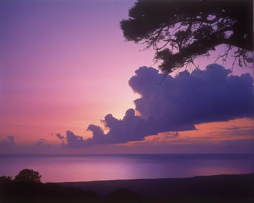 purple landscape,sailing blue purple,landscape with sea,andaman sea,atmosphere sunrise sunrise,violet colour,coastal landscape,sea-lavender,tramonto,balearic islands,purple,light purple,sea landscape,seascape,purple pageantry winds,an island far away landscape,pink dawn,provence,balearica,landscape background,Photography,Fashion Photography,Fashion Photography 19