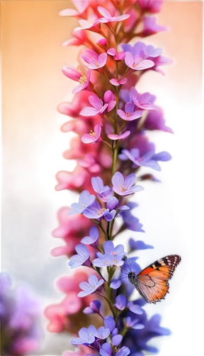 butterfly lilac,butterfly background,butterfly on a flower,butterfly floral,butterfly milkweed,butterfly isolated,wisteria shelf,common lilac,flowers png,small-leaf lilac,golden lilac,lilac tree,flower background,lilacs,lilac flower,buddleia,floral composition,lilac branch,floral digital background,isolated butterfly,Conceptual Art,Sci-Fi,Sci-Fi 01