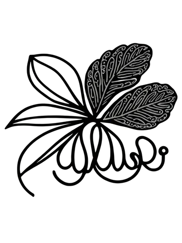 lotus leaf,flowers png,chrysanthemum background,retro flower silhouette,leaf background,lotus png,botanical line art,spring leaf background,wreath vector,flower line art,fern leaf,tropical leaf,vectoring,foliage coloring,laurel wreath,rose leaf,cabbage leaves,foliate,damask background,walnut leaf,Illustration,Black and White,Black and White 11