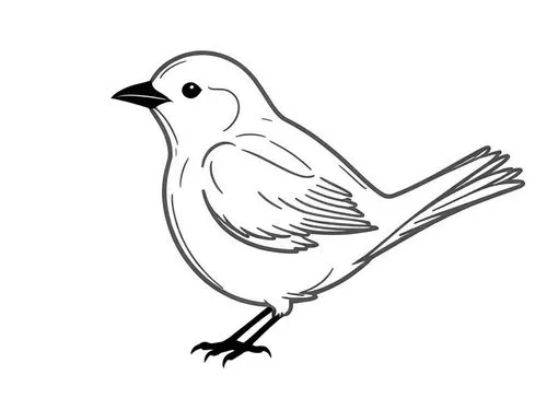 the bird is standing up against a white background,bird png,titmouse,luginbill,bird illustration,bird drawing,line art birds,Design Sketch,Design Sketch,Rough Outline