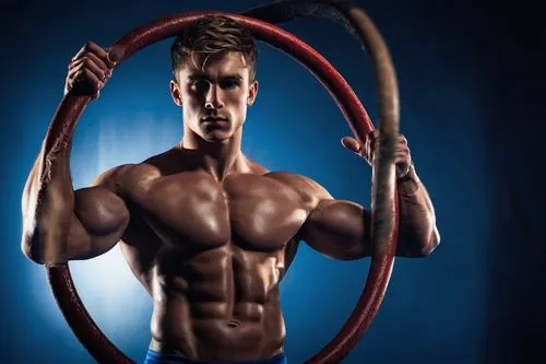 gymnastic rings,bullwhip,pole vaulter,decathlete,clenbuterol,circus aerial hoop,obliques,sadik,stanozolol,muscular system,haegglund,anabolic,plitt,abdominals,jump rope,muscadelle,body building,vasodilation,bow and arrow,skipping rope,Conceptual Art,Fantasy,Fantasy 04