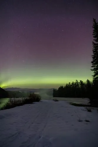 auroras,a green aurora is shining above the snow,northern light,the northern lights,northern lights,airglow,northen lights,norther lights