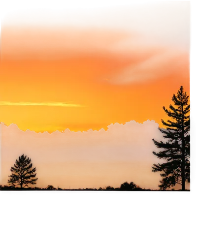 watercolor pine tree,landscape background,dusk background,pine trees,sunset,sunburst background,crayon background,small landscape,background vector,watercolor background,setting sun,coast sunset,pine tree,digital painting,photo painting,orange sky,inkscape,sunsets,panoramic landscape,landscapes,Conceptual Art,Fantasy,Fantasy 15