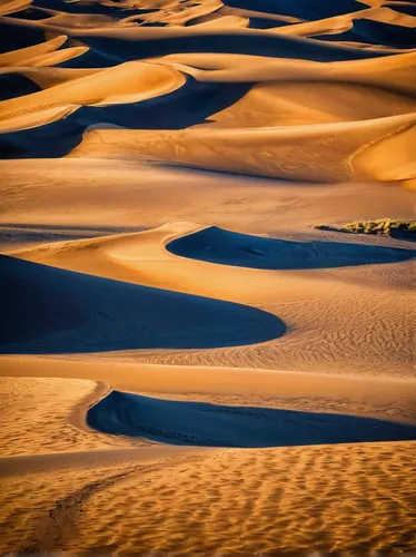 Gone by afternoon - An early morning stream flowing through The Great Sand Dunes National Park and Preserve, Colorado; USA,libyan desert,gobi desert,the gobi desert,crescent dunes,capture desert,deser