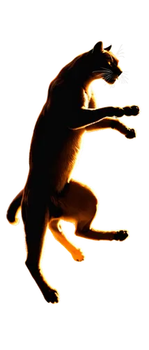 kokopelli,ratri,zodiacal sign,silhouette dancer,mouse silhouette,wehrung,chytrid,dance silhouette,firedancer,running frog,png image,vulpecula,life stage icon,shadowclan,uttama,shadow camel,skinwalker,zodiac sign leo,energex,xenopus,Illustration,Black and White,Black and White 33