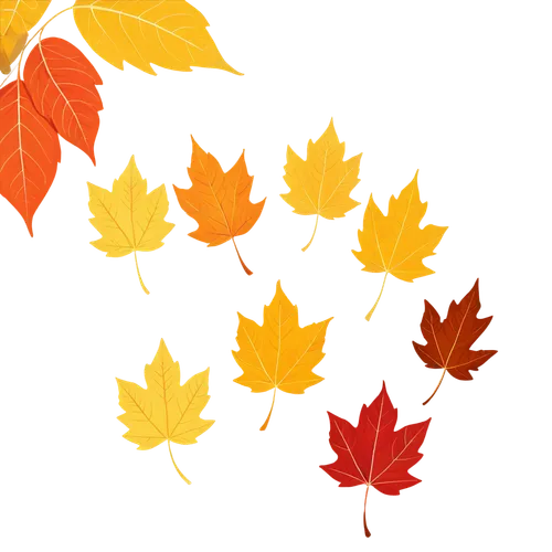 leaf background,maple leaf red,maple leaf,maple leaves,yellow maple leaf,maple leave,autumn background,maple foliage,autumn icon,colored leaves,red maple leaf,fall leaf border,leaf icons,autumn leaf paper,fall leaves,fall foliage,autumnal leaves,thanksgiving background,autumn leaves,fall leaf,Unique,Design,Infographics