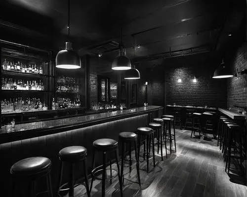 liquor bar,speakeasy,wine bar,bar stools,speakeasies,bar,barleycorn,gastropub,piano bar,barrooms,bar counter,barroom,barrelhouse,barfly,barstools,rain bar,uqbar,loewy,barflies,brewpub,Photography,Black and white photography,Black and White Photography 08