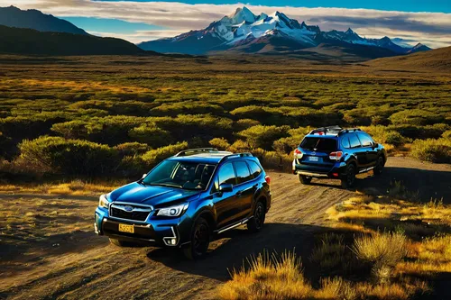 Subaru Forester XV and Outback in Patagonia view 03,gmc canyon,expedition camping vehicle,4 runner,ford ranger,mitsubishi endeavor,toyota land cruiser prado,patagonia,ford expedition,toyota 4runner,co