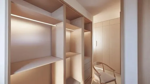 the closet is organized and empty of people,walk-in closet,hallway space,closets,garderobe,associati,storage cabinet,Photography,General,Realistic