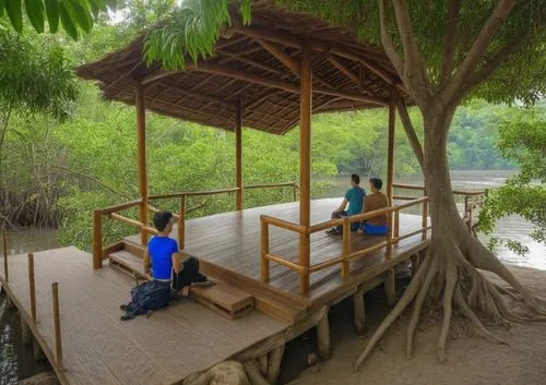 People on the wooden rest pavilion at the mangrove forest near river,people sitting on a small deck by a river,teak bridge,tree house hotel,stilt house,the roots of the mangrove trees,mangrove,kinabat